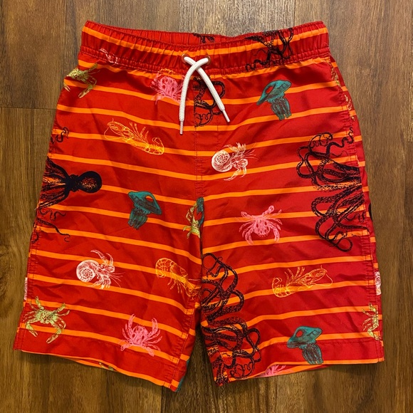 Land’s End Swim Trunks - Picture 1 of 7